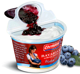 Ehrmann Yogurt Coupon