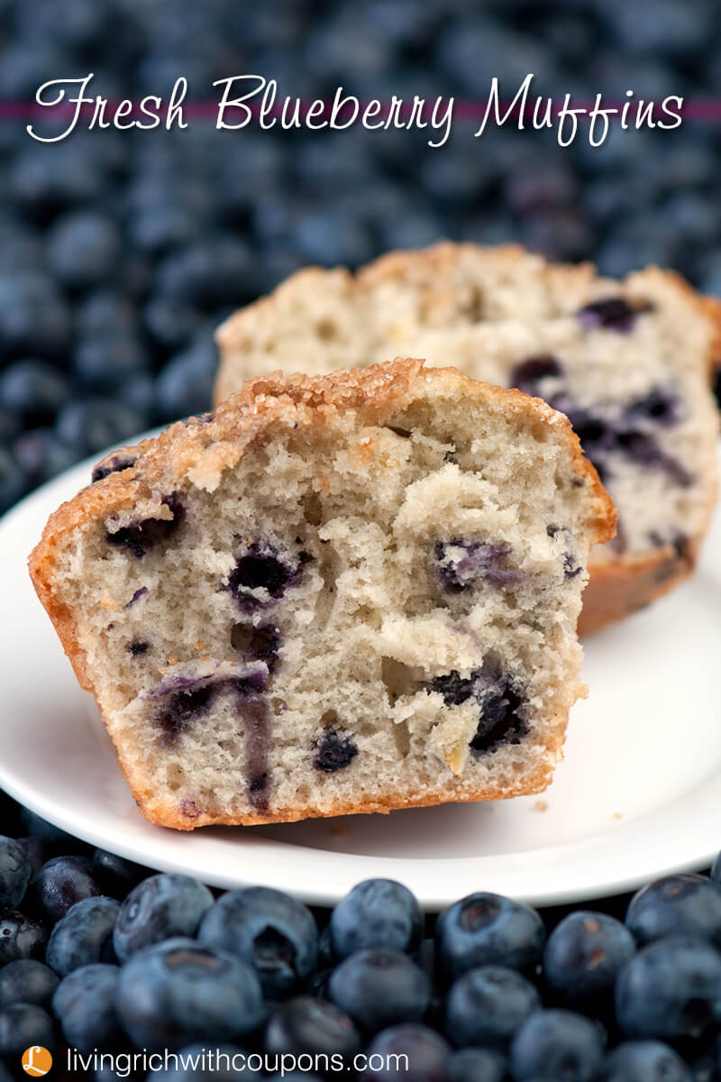 Fresh Blueberry Muffins v copy