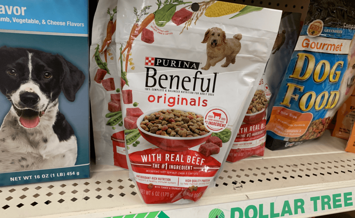 sam's club beneful dog food