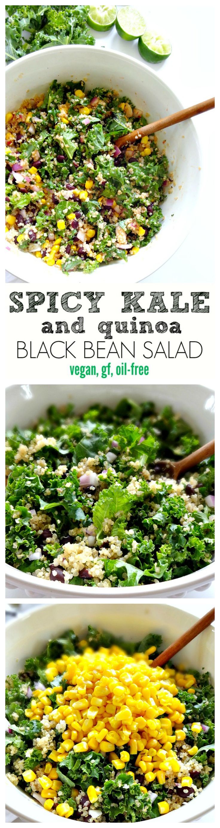 Spicy Kale and Quinoa Black Bean Salad