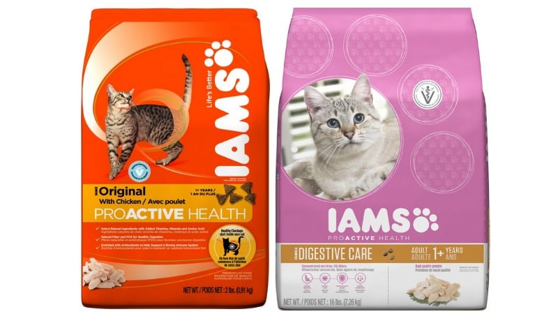Iams Cat Food Coupons Target New 2/3 Iams Cat Food Coupon = FREE At