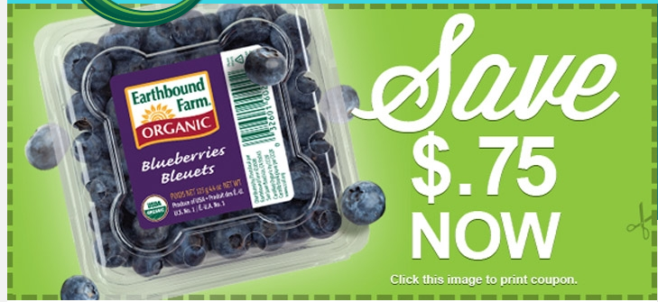 download earthbound trading co coupons download earthbound trading co coupons