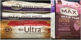 $65 in New Nutro Dog Food Coupons – Possibly FREE Nutro Max Puppy Food ...