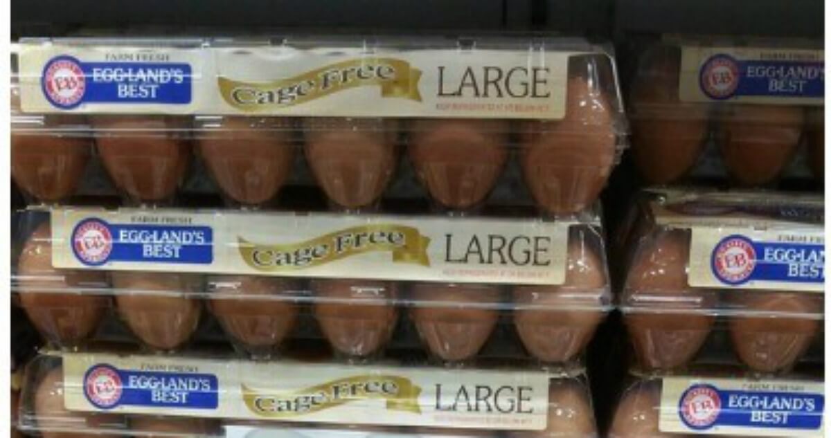 Eggland’s Best Cage Free Large White Eggs as Low as $1.50 at Harris ...