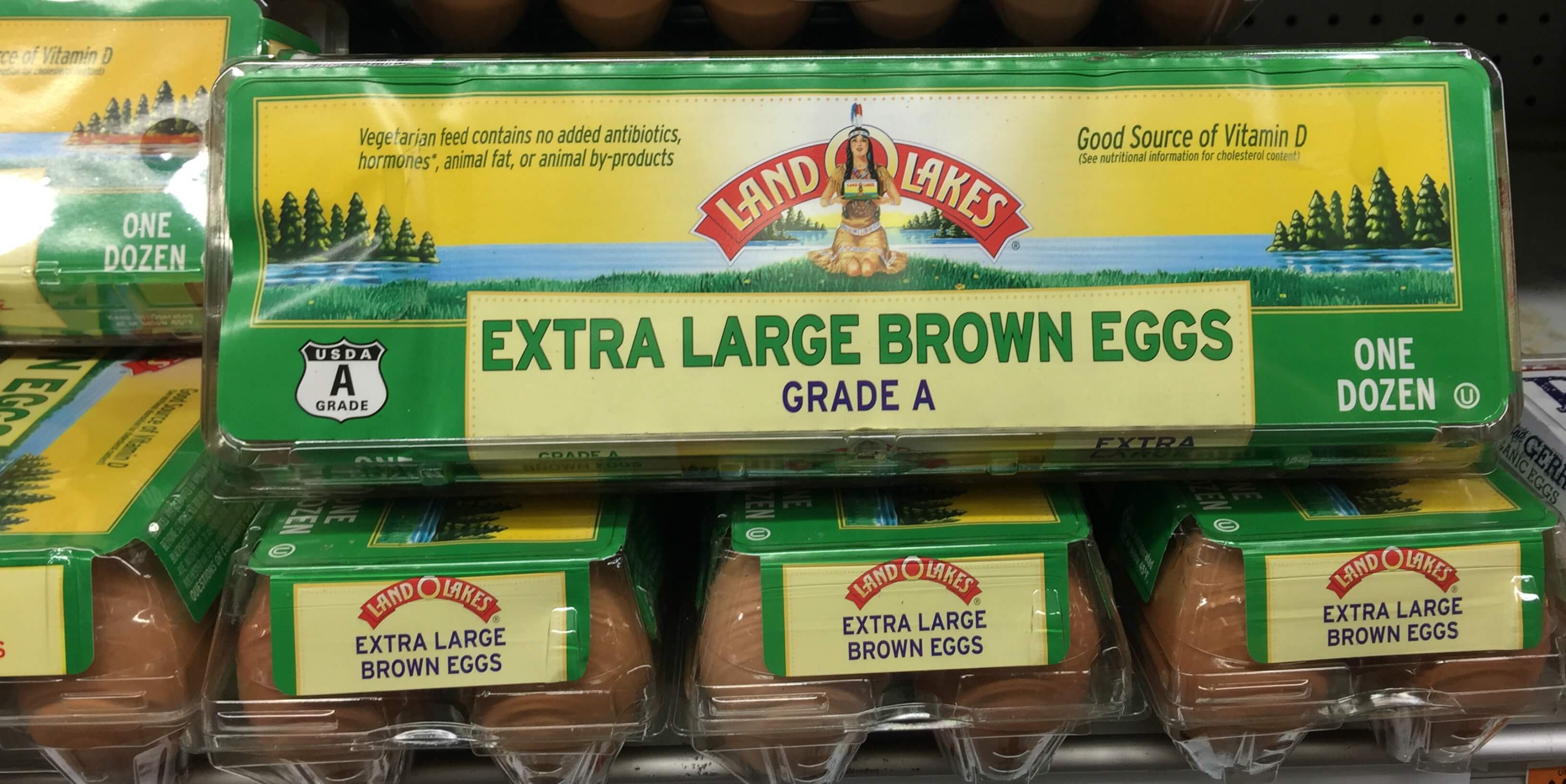 Land O Lakes Extra Large Brown Eggs Just $1.99 at ShopRite!{ No Coupons ...