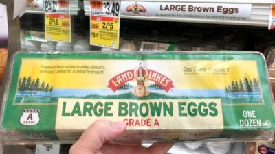Land O Lakes Eggs Only $1.50 at Stop &amp; Shop, Giant, and Giant/Martin ...