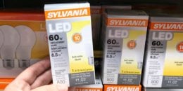 Sylvania LED A19 Light Bulbs Just $0.99 at ShopRite!{No Coupons Needed}
