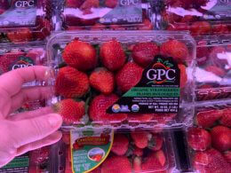 Red Ripe Strawberries  Just $1.99 at ShopRite!{ Super Coupon}