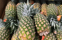 Fresh Whole Golden Pineapples Just $1.49 at ShopRite!