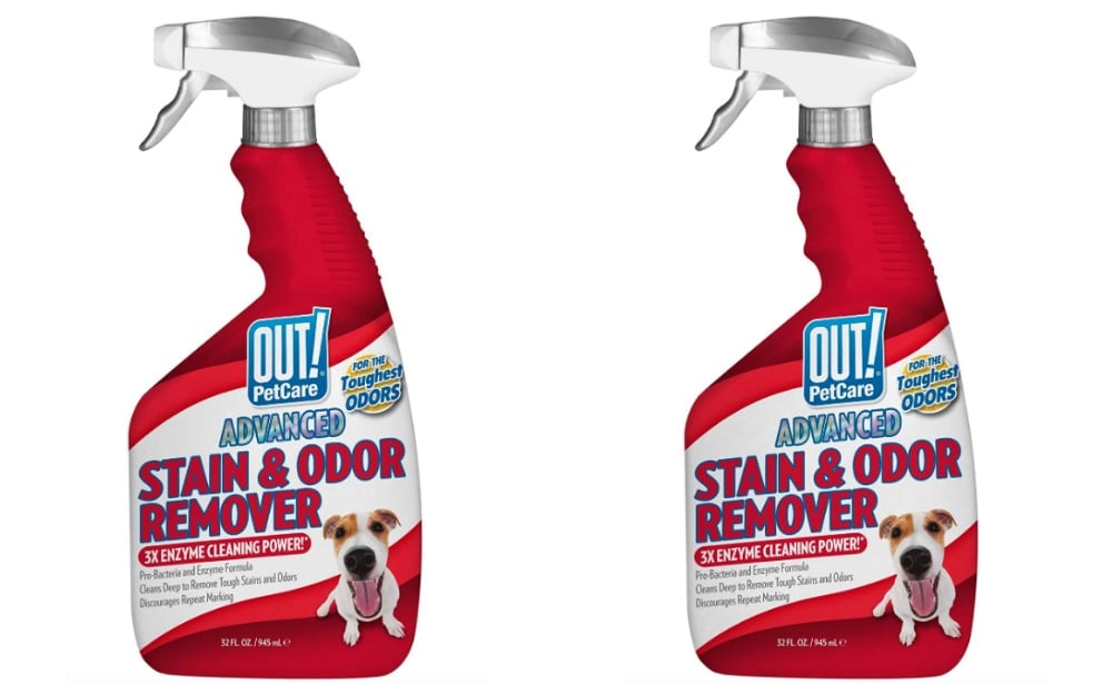 Great Price! OUT! Advanced Stain and Odor Remover Living Rich With