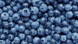 Fresh Sweet Organic Blueberries Just $2.99 per dry pint at ShopRite!