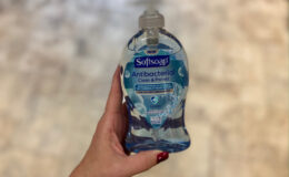 SoftSoap Liquid Handsoap Only $1.62 at CVS!