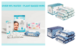 Extra 30% Off Coupon! The Honest Company Wipes {Amazon}