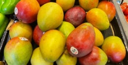 Sweet Ripe Mangoes Just $0.69 at ShopRite!