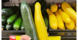 Green & Yellow Squash Only $0.99 per pound at ShopRite!