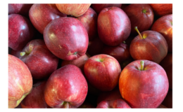 Organic Gala Apples Just $1.00 per pound at ShopRite!