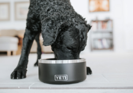 Hot Offer! FREE Yeti Dog Bowl with First BarkBox!