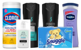 New $5/$25 Dollar General Coupon | $7.75 for $26.50 in Products | Just Use Your Phone! {3/16 ONLY}