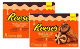 Reese's Ice Cream Cones as low as $2.07 each (Reg. $6.97) at Walmart {Rebates}