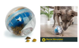 67% Off Pet Zone IQ Treat Ball Dog Treat Dispenser Toy Ball Interactive Dog Toy at Amazon