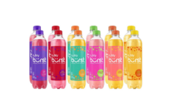 Still Available! Bubly Burst Sparkling Water Drinks 16.9oz Bottles as low as $0.46 at ShopRite!{Rebates}