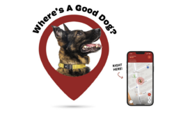 FREE Fi Collar ($102 value) + 6 months of GPS Membership with First Super Chewer Box!
