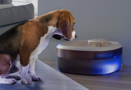65% off Large Dog Water Fountain on Amazon | Quiet Smart Pump!