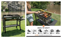 Blackstone Duo 17" Propane Griddle and Charcoal Grill Combo just $179 (reg. $229)