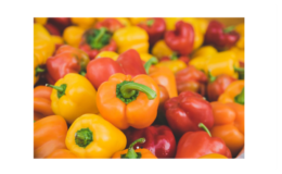 Hot House Red, Yellow, and Orange Bell Peppers Just $0.99 per pound at ShopRite!