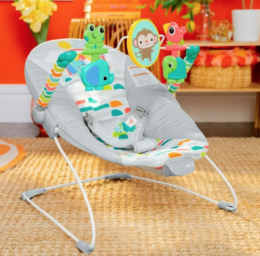 Bright Starts Vibrating Baby Bouncer just $26 at Walmart!