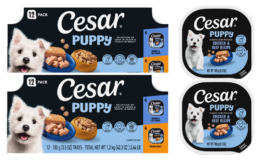 Pet Deal! Pay as low as $13 for $30 worth of Cesar Puppy Food at Target | Just Use Your Phone {Rebates}