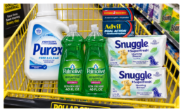 New $5/$25 Dollar General Coupon | Pay $10.25 for $30.75 in Purex, Snuggle, Palmolive & Advil | Just Use Your Phone {09/26 ONLY}