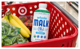 FREE Malk Organic Whole Protein Plant Milk at Target (reg. $6.49)! Just Use Your Phone {Aisle}